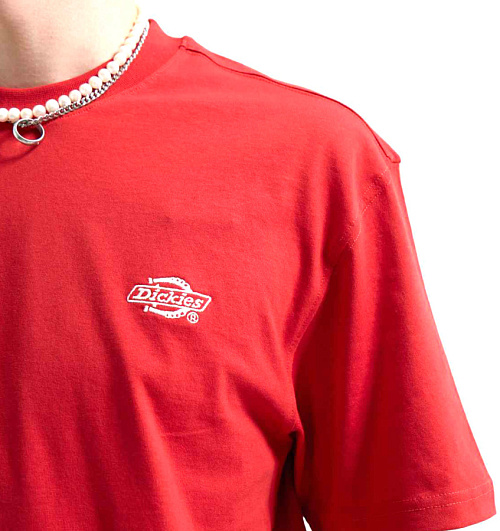 Dickies Dickies  