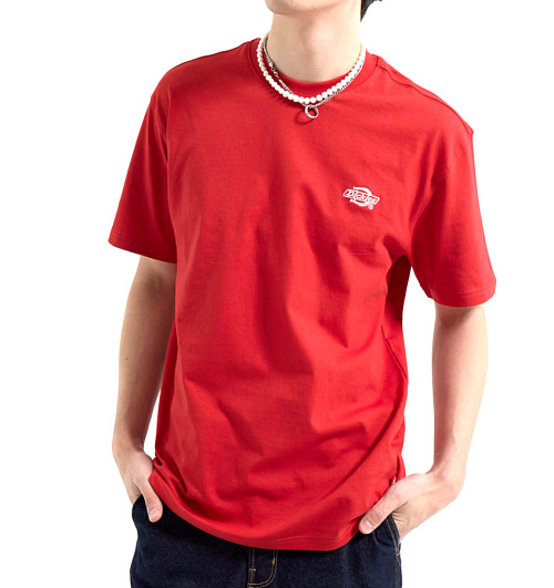 Dickies Dickies  