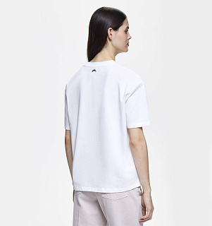 DREAMS by Alena Akhmadullina