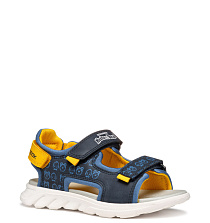 GEOX GEOX
