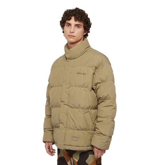 Dickies Dickies  