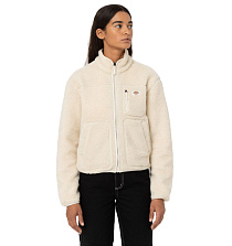 Dickies Dickies