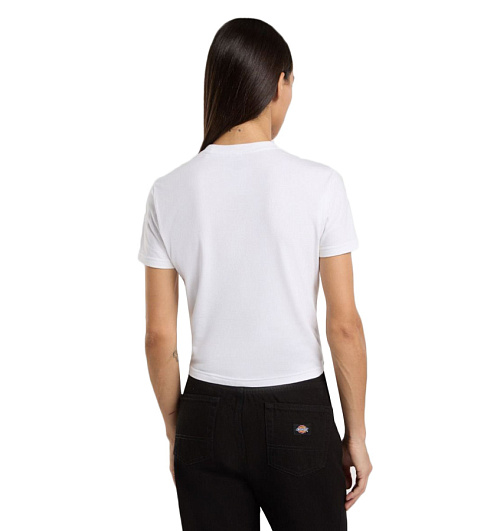 Dickies Dickies  
