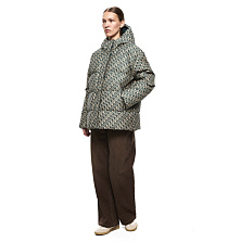 DREAMS by Alena Akhmadullina