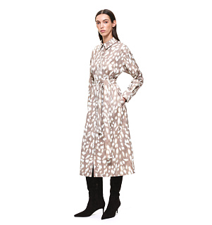 DREAMS by Alena Akhmadullina