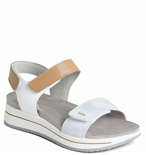 Igi&Co Igi&Co  