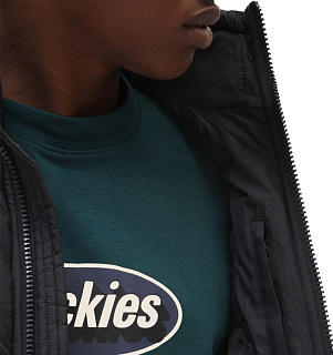 Dickies