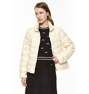 DREAMS by Alena Akhmadullina