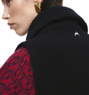 DREAMS by Alena Akhmadullina