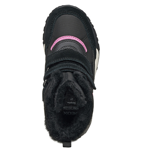 GEOX
