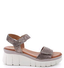 Igi&Co