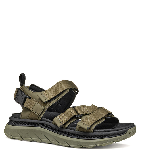 GEOX Geox  