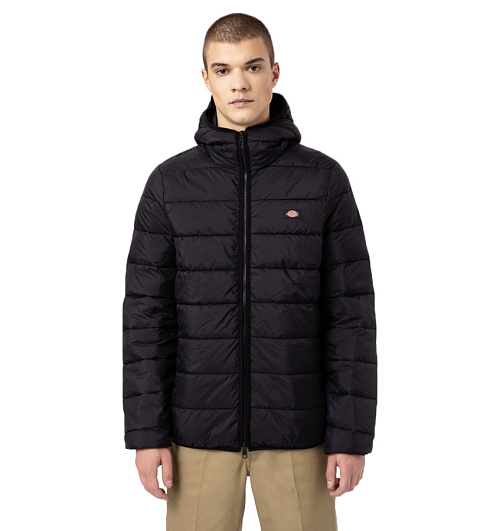 Dickies Dickies  