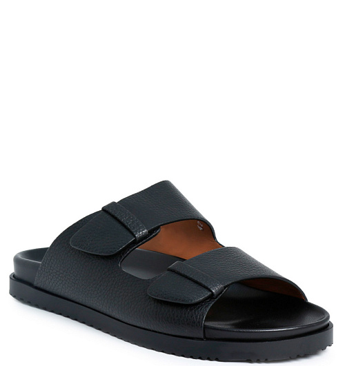 Doucals Doucals  