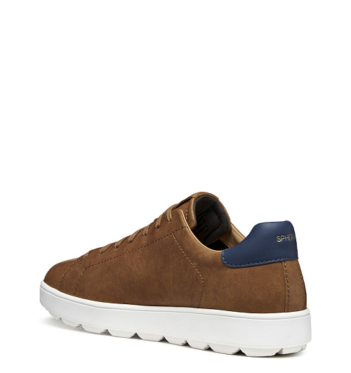 GEOX Geox  