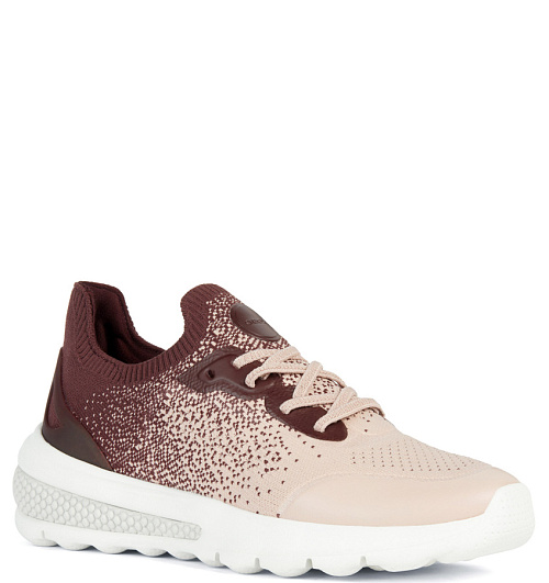 GEOX Geox  