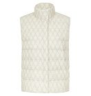 DREAMS by Alena Akhmadullina