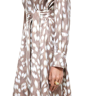 DREAMS by Alena Akhmadullina