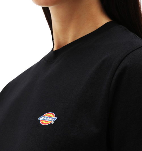 Dickies Dickies  