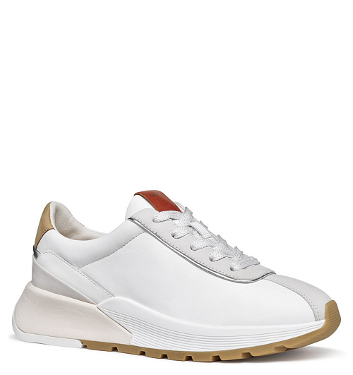 GEOX Geox  